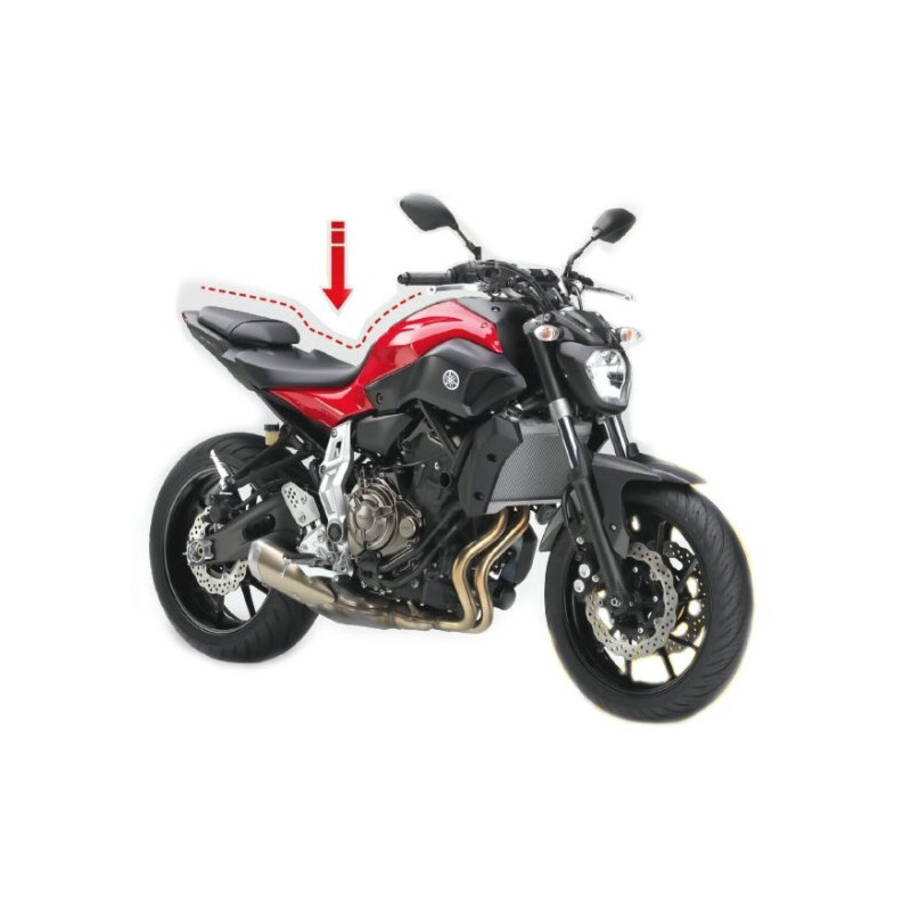 Descenso de motos Alpha Technik CF Moto, 650MT (de à )